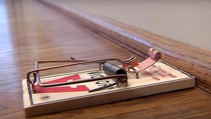 Hoţ găsit de poliţişti după ce s-a prins într-o capcană pentru şoareci