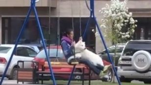 Imaginile care au emoționat tot internetul! O fetiță și un câine sunt de nedespărțit