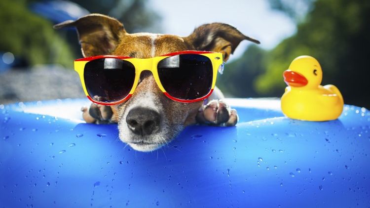 Care sunt adevăratele motive pentru care medicii recomandă ochelarii de soare