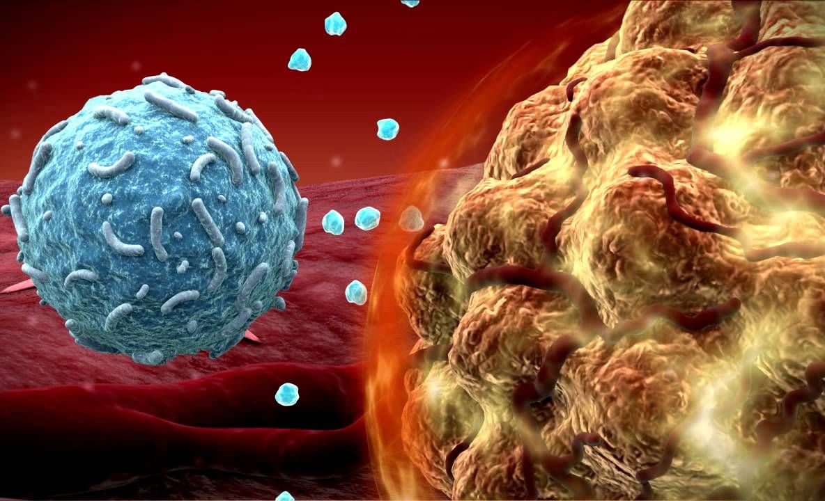 Medicament anticancer care țintește tumorile fără să afecteze țesuturile sănătoase aproabe aprobat