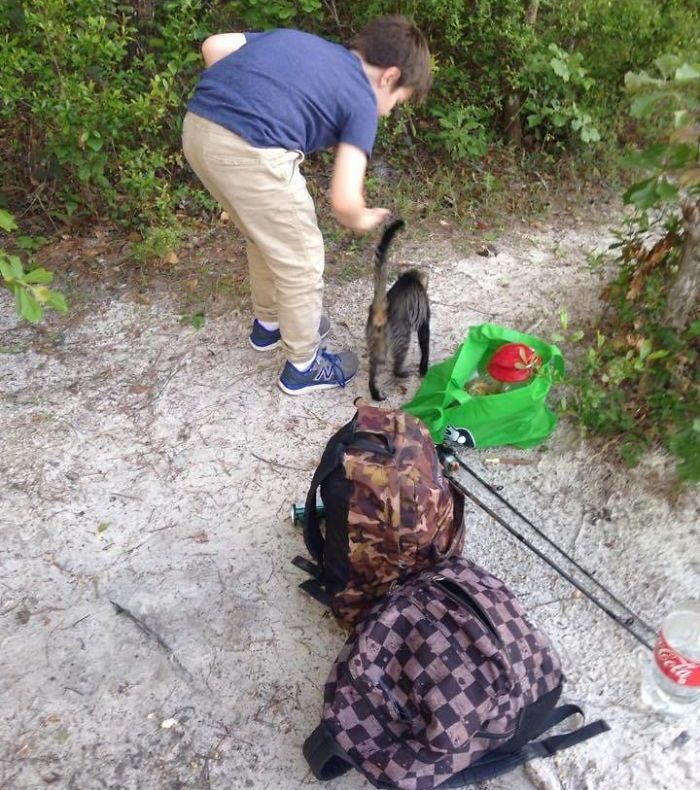 Au mers cu cortul. În pădure s-a apropiat de ei o pisică flămândă - au hrănit-o. A doua zi, SURPRIZĂ