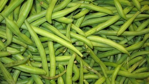 Ce beneficii umitoare ascunde "carnea săracului". Fasolea verde face minuni pentru organism