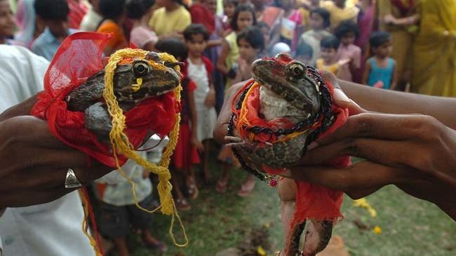 Cea mai ciudată nuntă din istorie! Cine au fost mirii 