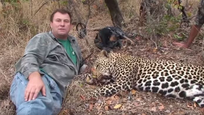 A vrut să omoare un elefant, dar ce a urmat este demn de filmele de groază