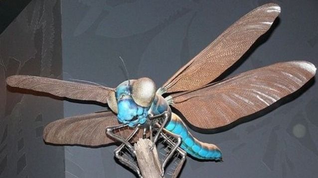 Cele mai mari și înfricoșătoare insecte de pe planetă. Când le vezi, îngheți de spaimă