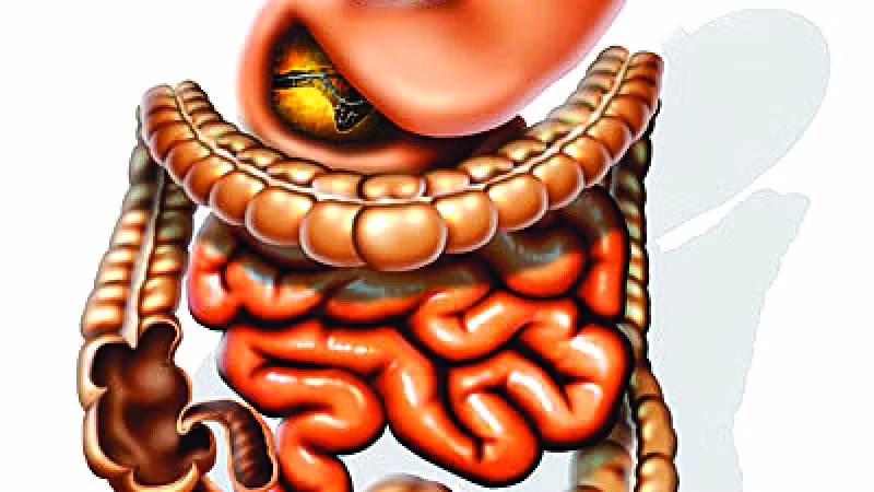 Care este cel mai lung organ al omului. Sigur nu ştiai asta