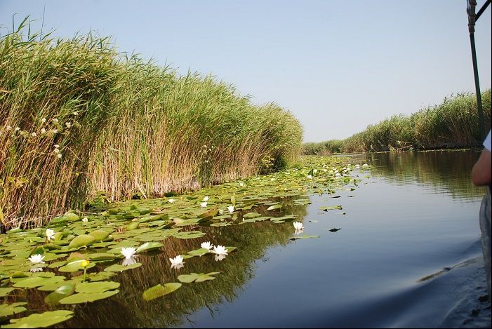 Cum işi face PR Ministerul Turismului. Vizită de documentare pentru 6 lideri de opinie: 20.725 lei