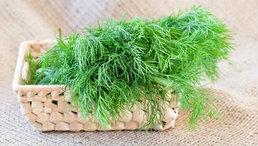 Fierbe frunze proaspete de mărar și bea câte un pahar înainte de culcare. Efectele, uimitoare!