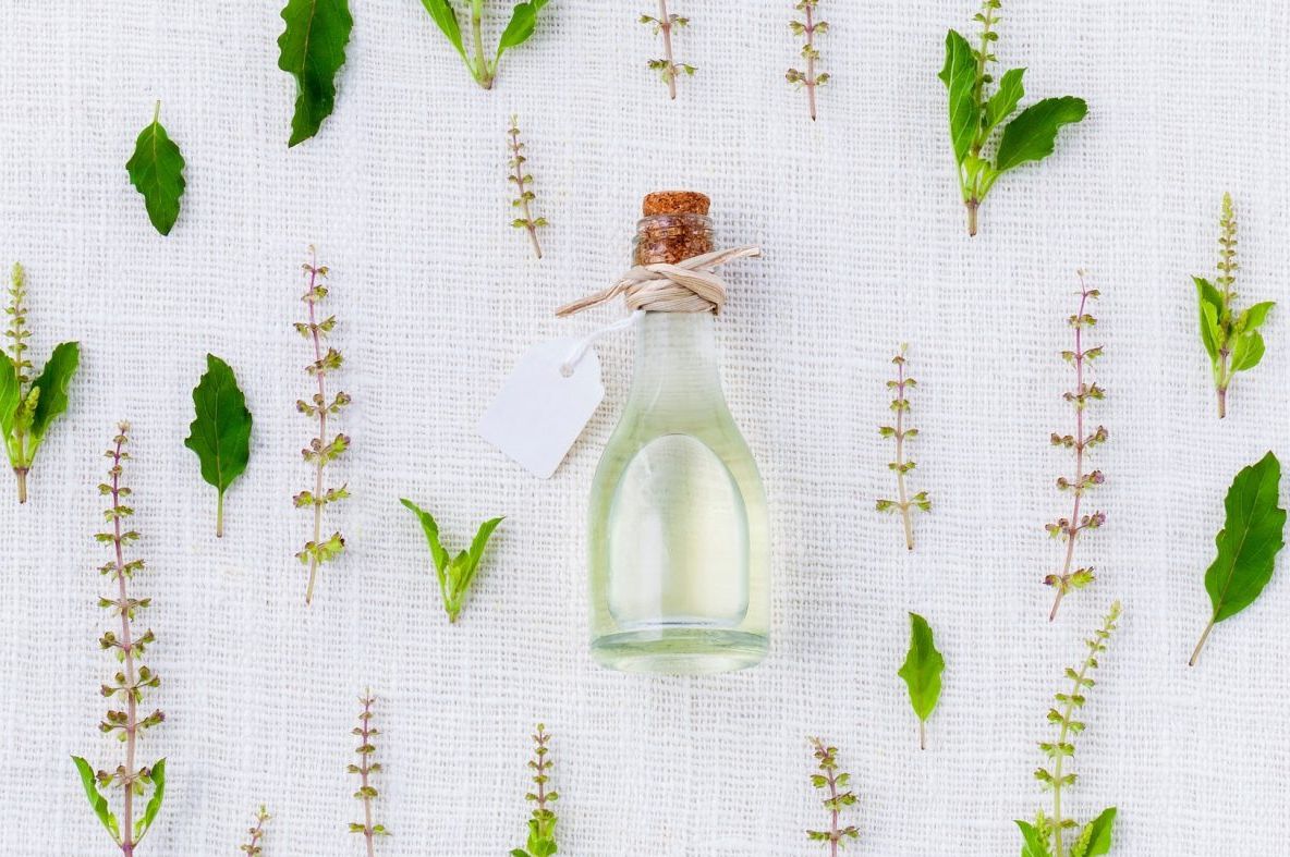 Cum să scapi de ţânţari cu ulei de mentă