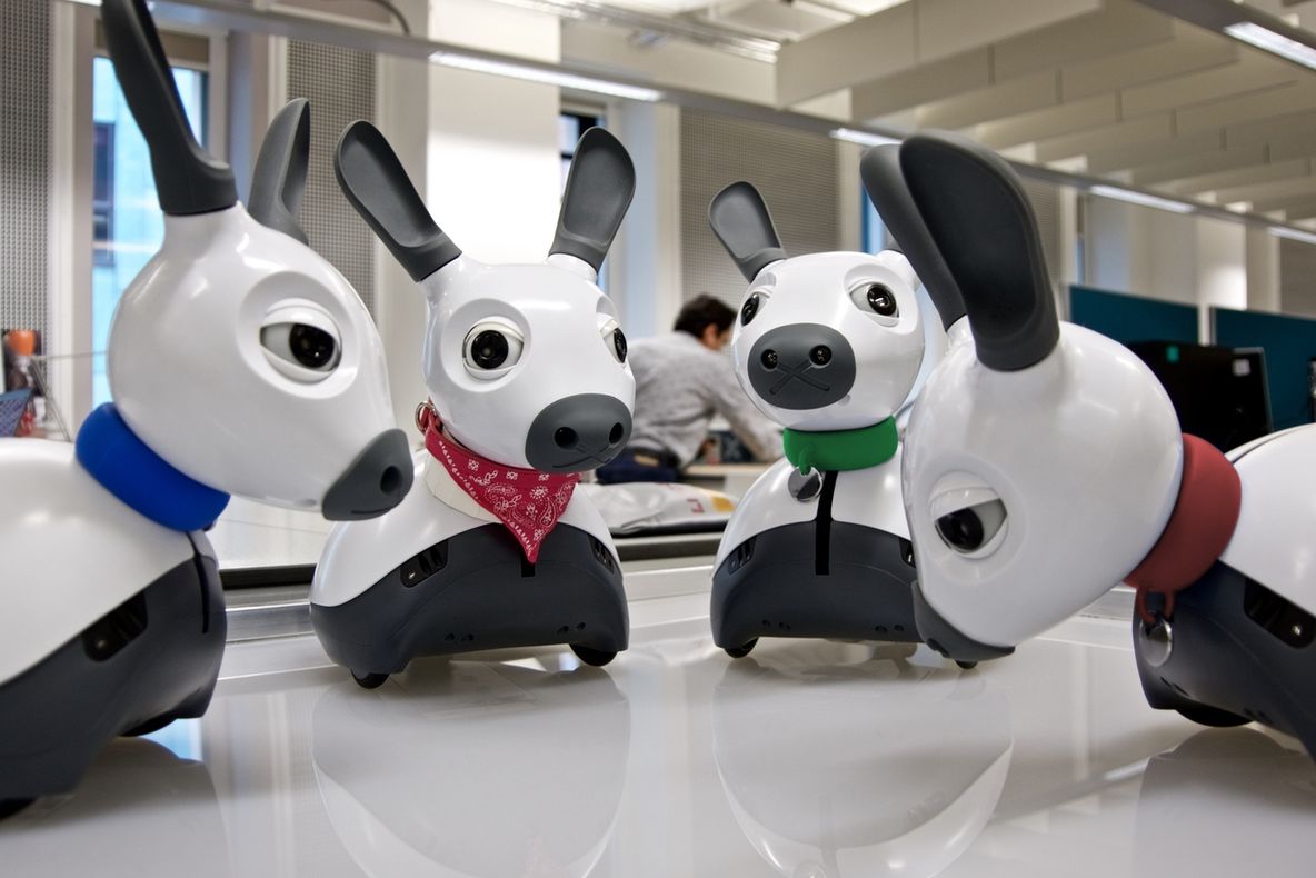 MiRo, robo-câinele care sare în ajutorul bătrânilor. Ce avantaje are invenția