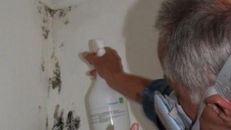 Cum să scapi de mucegai fără ajutorul chimicalelor. Pentru totdeauna!