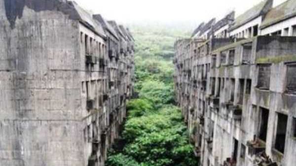 Galerie foto senzaţională! Evoluţia spectaculoasă a naturii în locurile părăsite de om