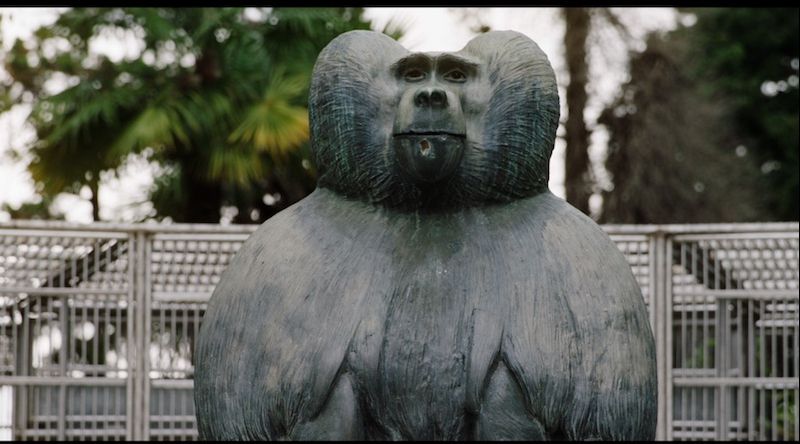 „Ouăle lui Tarzan”,  în premieră mondială la TIFF