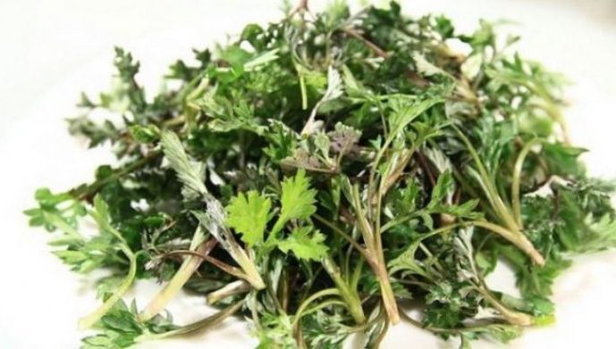 Această plantă distruge 98% din celulele canceroase. Se găseşte şi în România