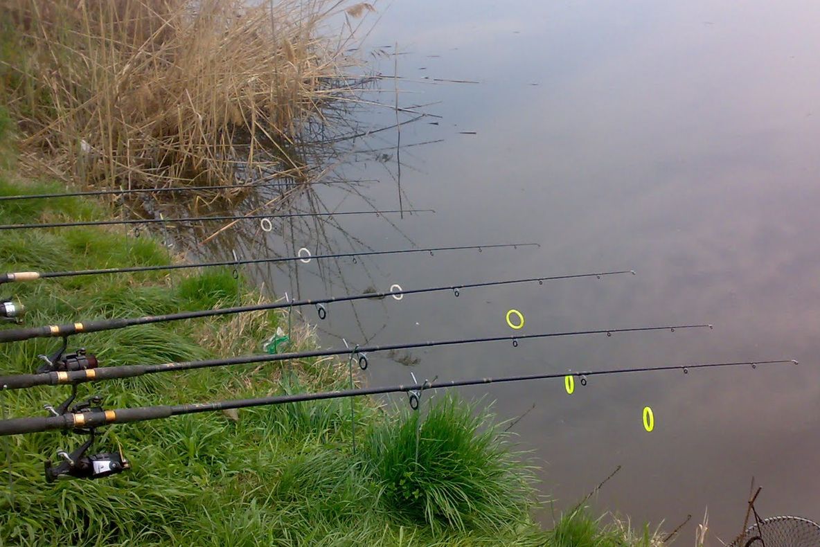 Tragedie de 1 Mai, la pescuit! Un bărbat s-a electrocutat pe o baltă dintr-o comună prahoveană