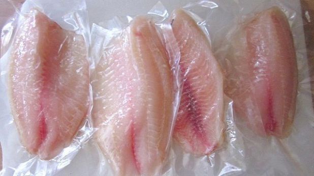 Nu mai mânca niciodată acest tip de pește! Este hrănit cu fecale de pui și substanțe cancerigene