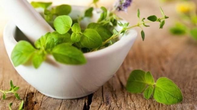 Plantele care ne ajută să scăpăm de răcelile sezoniere