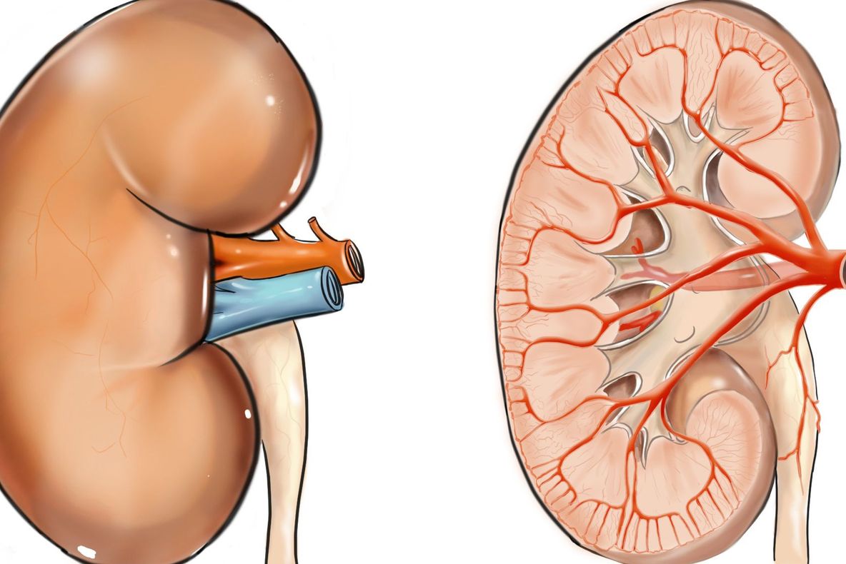5 semne ale unor posibile boli renale