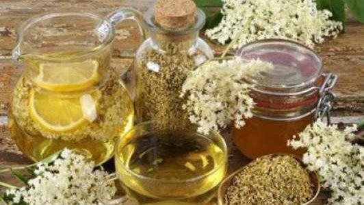 Începe sezonul lui! Află cât de benefic este socul pentru sănătatea ta