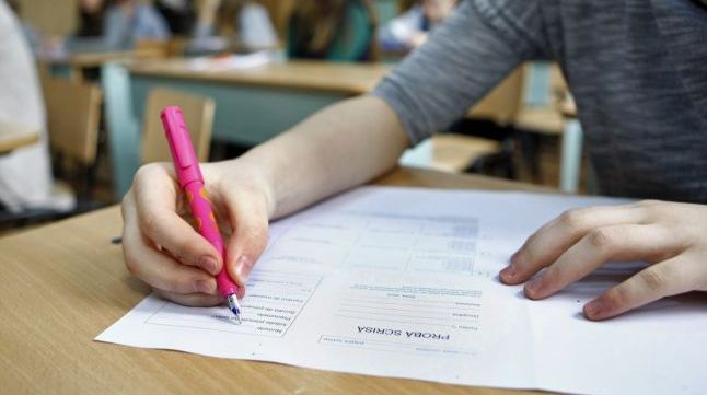 Subiecte Evaluare Naţională 2017 clasa a IV-a. Iată ce subiecte au primit elevii la Evaluare 