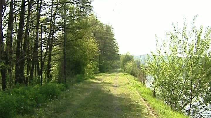 Licitații dubioase. Un domeniu de vis, vândut de lichidatorul Radu Podea cu 72 de bani metrul pătrat