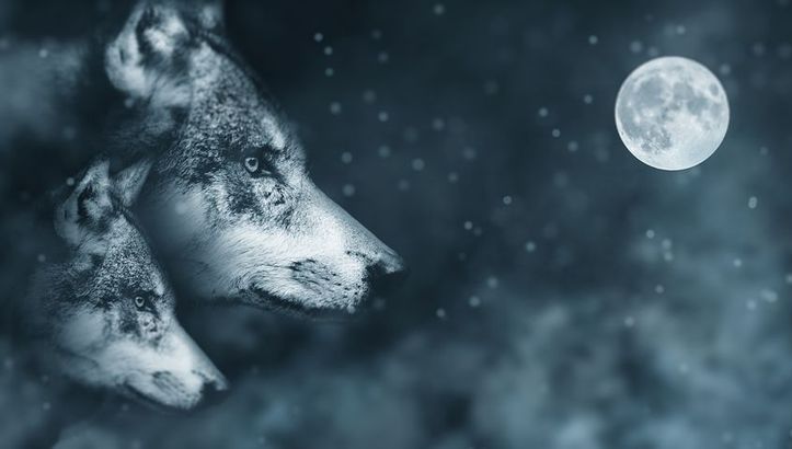 Zodiacul totemic îți dezvăluie personalitatea