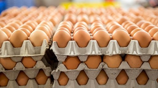 Le cumpărăm zilnic, dar nu știm cât de folositoare pot fi. Ce mai putem face cu cartoanele de ouă