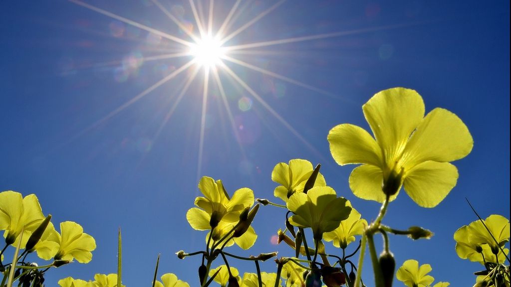 Vești bune de la meteo. Când scăpăm de ploi