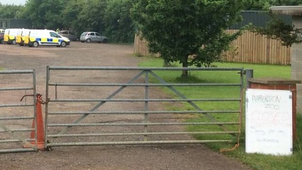 Grădină zoologică, evacuată. Un tigru a omorât un îngrijitor 