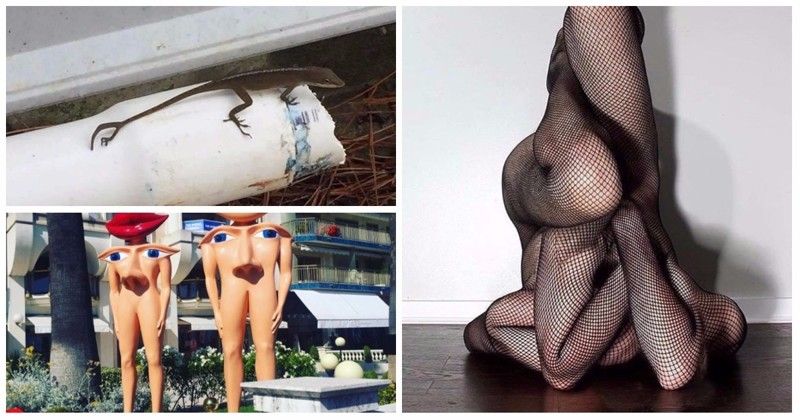 Fotografiile care nici măcar n-ar trebui să existe - sfidează orice LOGICĂ şi par iluzii optice