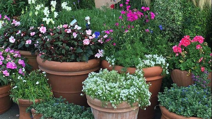 Grădina superbă pe care toată lumea o priveşte de două ori. De ce e specială