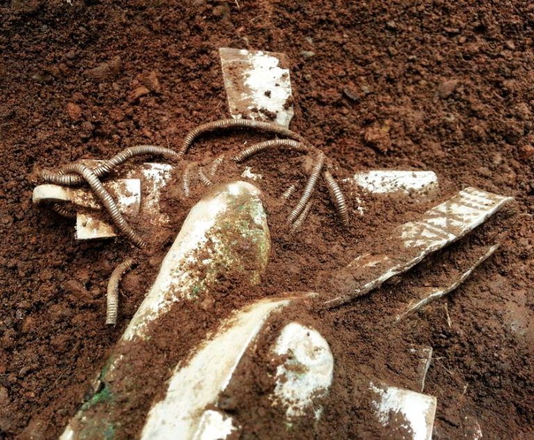 Se plimba cu detectorul de metale, când a găsit un cufăr îngropat. A devenit milionar peste noapte