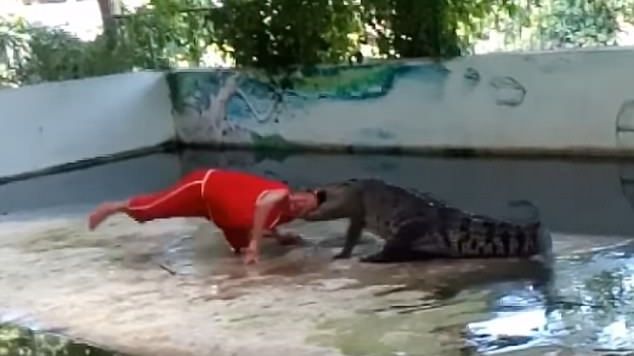 Și-a băgat capul în gura crocodilului de bunăvoie! E șocant ce a urmat
