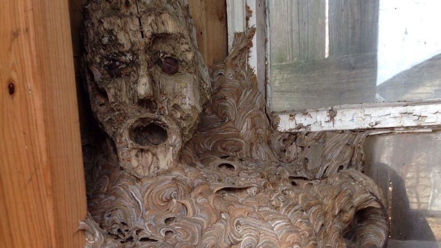 Era în vacanță la tatăl său și a intrat în magazie! A început să urle când a văzut ce ascundea acolo