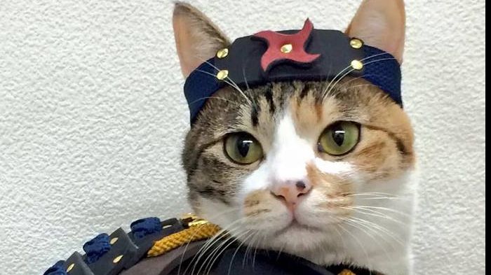 Imagini cu animale care îți vor face ziua mai bună! Nu te vei putea opri din zâmbit