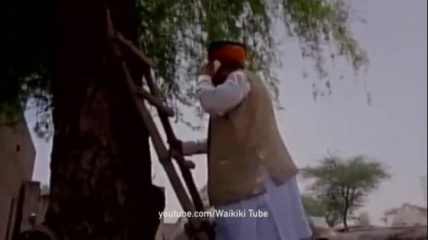 Gafa care amuză internetul: ministrul, urcat în copac - nu avea semnal la telefon