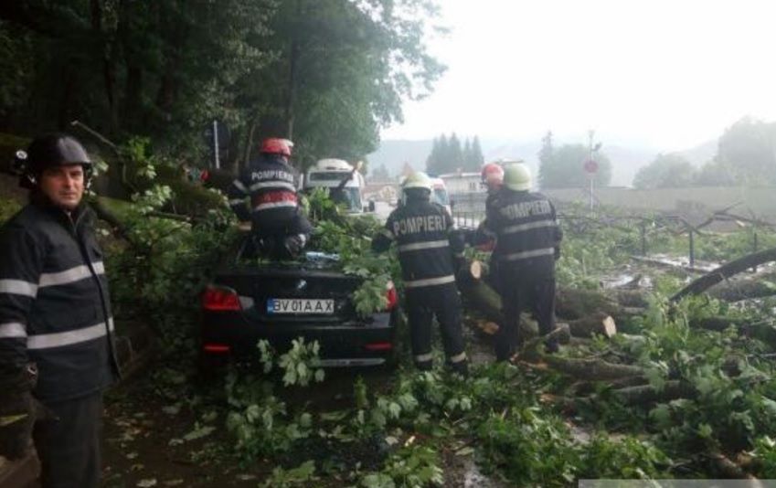 Un copac a căzut, la Braşov, peste o maşină în care se aflau un adult, un copil şi un bebeluş