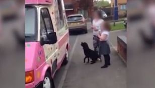 Acesta este cel mai adorabil cățel! Iată ce face pentru a obține o înghețată