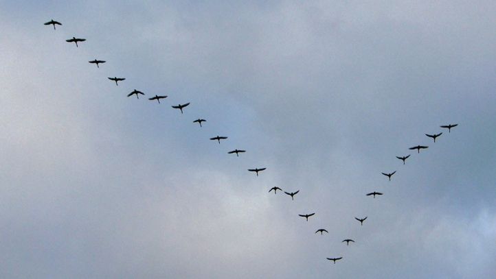 Singurele semne CLARE care anunţă un cutremur cu 24 de ore înainte