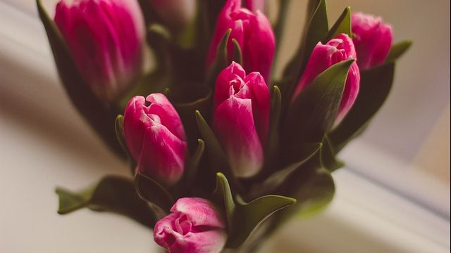 Truc incredibil. Cum faci ca bobocii de floare ofiliți să se deschidă