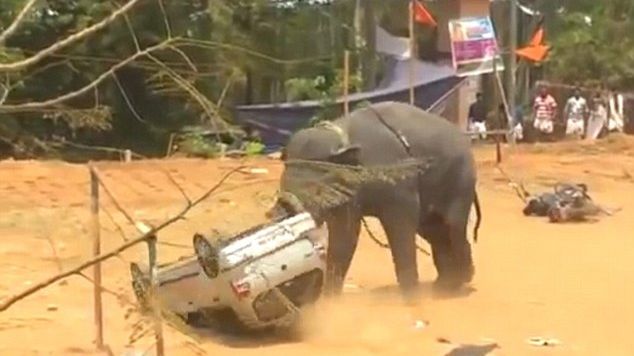 Un elefant nervos a făcut prăpăd la un festival din India. Au zburat mașini