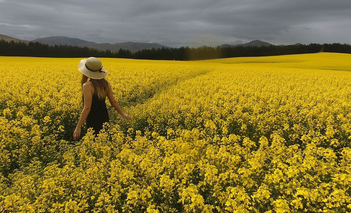 Ce fel de vară vei avea, în funcţie de zodia în care te-ai născut. Ghinioniştii horoscopului