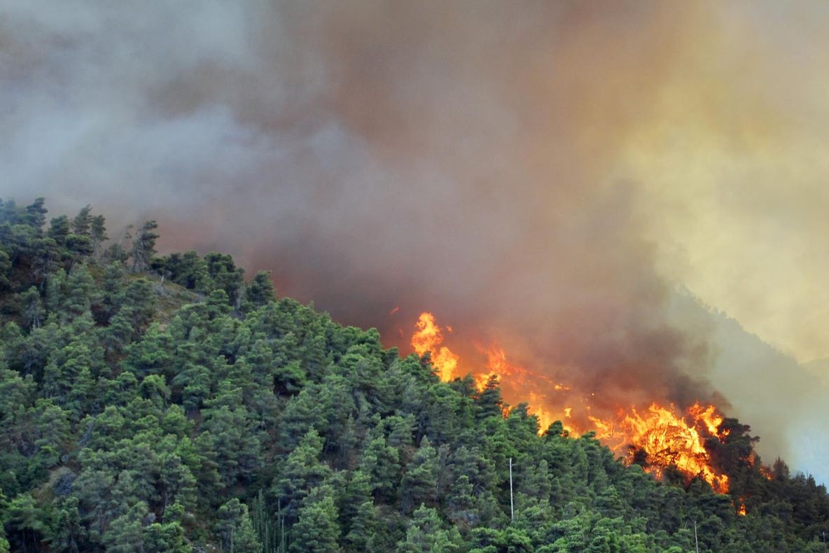  Patrimoniu UNESCO în pericol. Mii de oameni evacuați dintr-un parc național cuprins de incendii