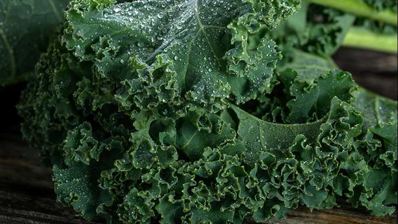 Care sunt alimentele sănătoase care provoacă balonarea