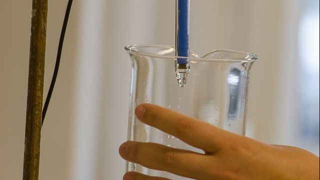 Fertilizarea in vitro, o minune a științei. Care este procedura