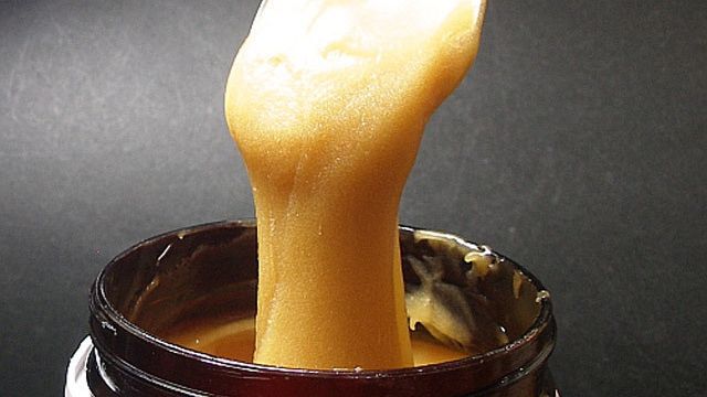 Acest tip de miere ucide mai multe bacterii decat toate antibioticile disponibile