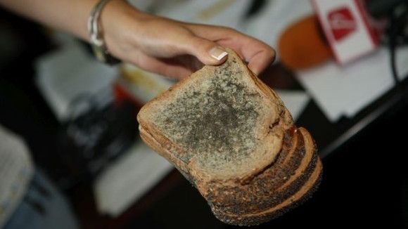 Mucegaiul pe alimente: Când este periculos și când nu