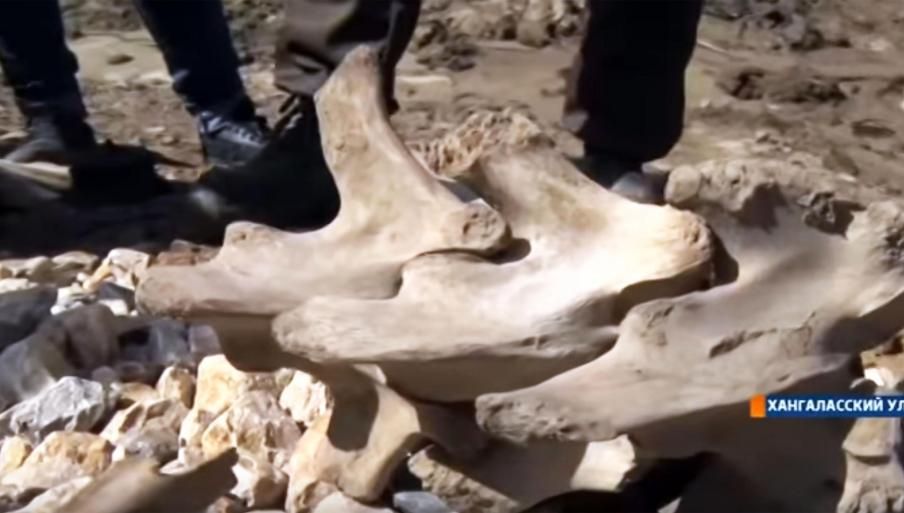 Un grup de copii au făcut o descoperire arheologică fabuloasă. Are peste 25.000 de ani vechime