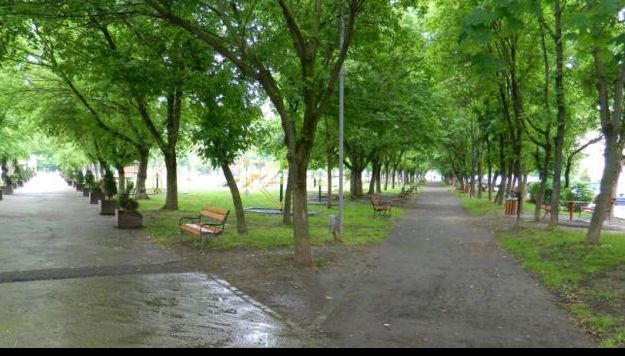 Vrei autorizaţie de construcţie? Plantezi câţiva copaci - se întâmplă în România