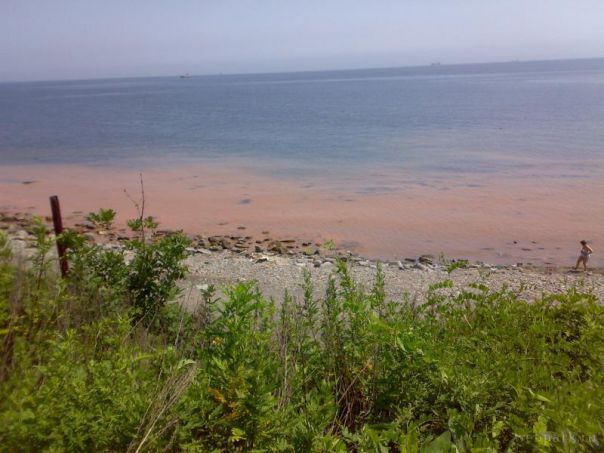 Plajele de COŞMAR din Rusia. Imaginile te vor lăsa fără cuvinte